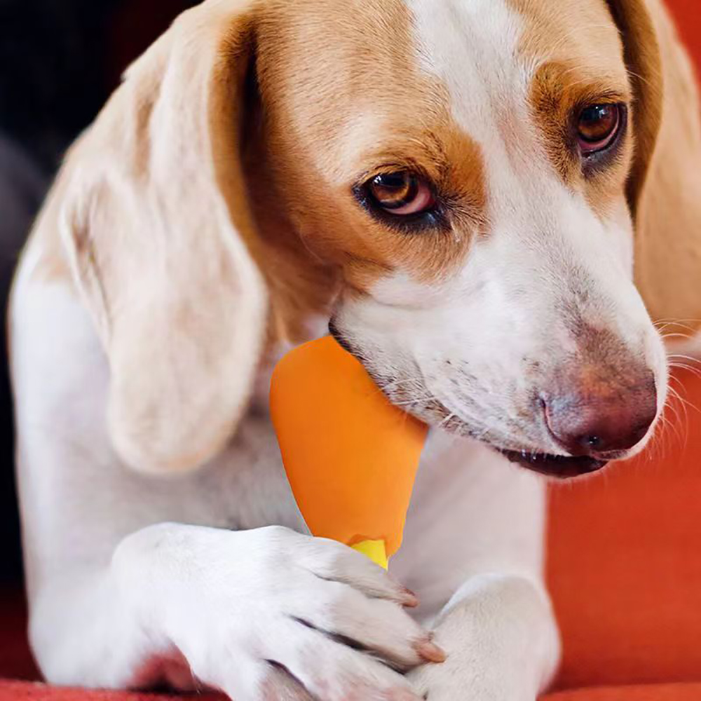 Ruimeier Pet toys, Simulated chicken leg dog chew toys,Squeeze Squeaky and Screaming Dog Toys
