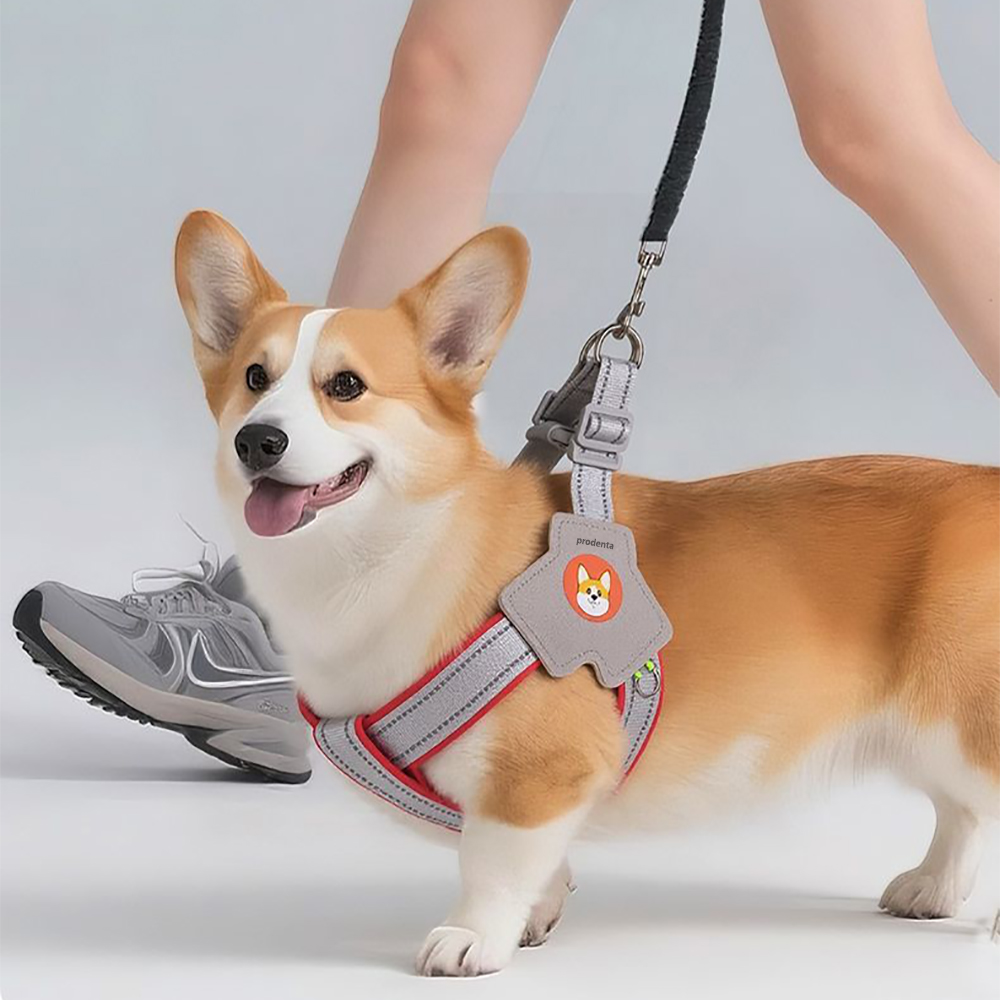 Prodenta Escape Proof Dog Harness & Leash Set - Adjustable Reflective Pet Leads for Small Medium Dogs Walking Training