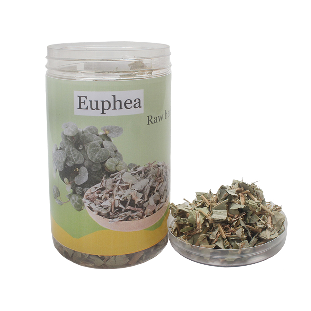 Euphea Golden Money Grass (Raw Herbs) for Herbal Tea & Wellness - Supports Gallbladder Function & Detoxification - Daily Health Supplement