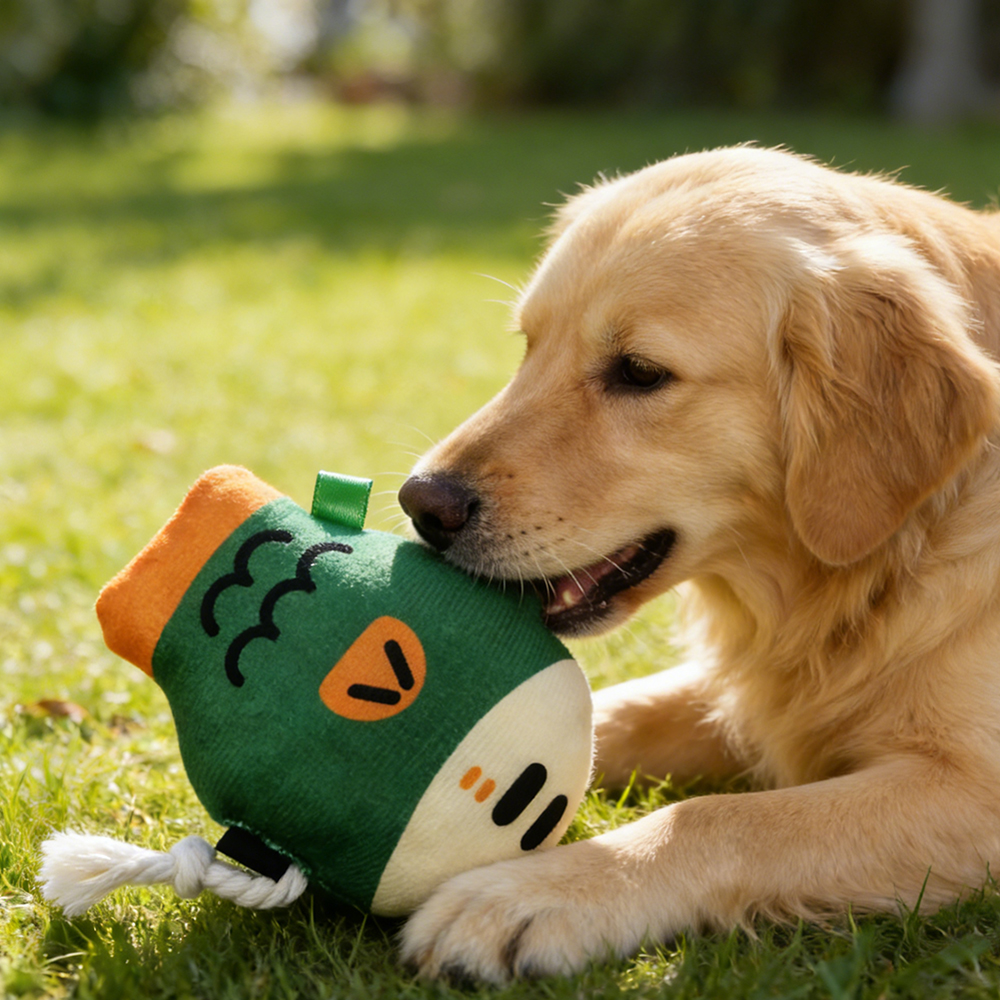 VetaCare Durable Fish Shape Pet toys with Squeakers, Interactive Squeaky Dog Toy for Puppy Small Medium Large Dogs, Chew & Play Toy for Indoor Outdoor Use