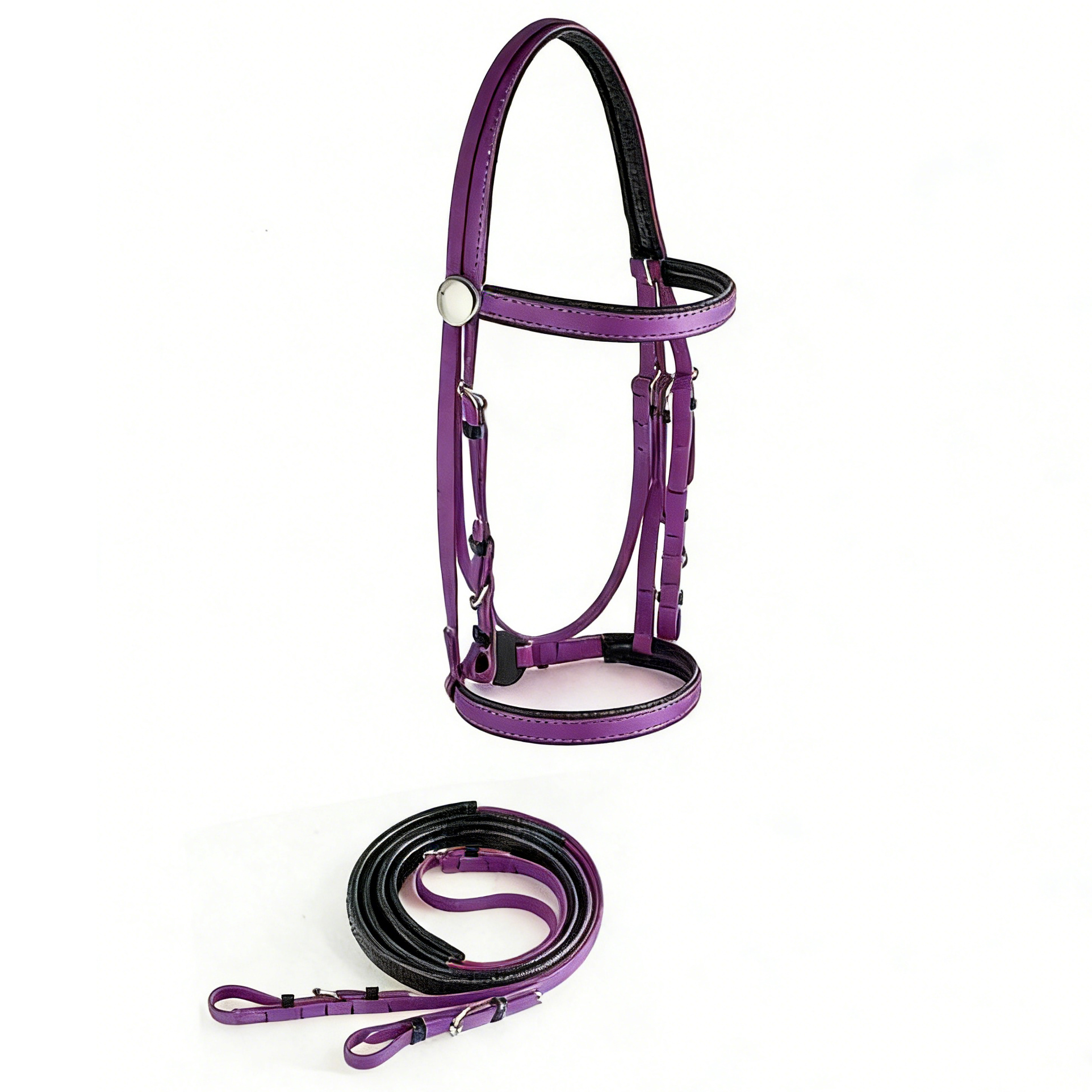TENG Premium Padded Horse Bridles with Matching Reins Set - Adjustable Equestrian Headstall for Daily Training and Riding - Purple, Blue, Green