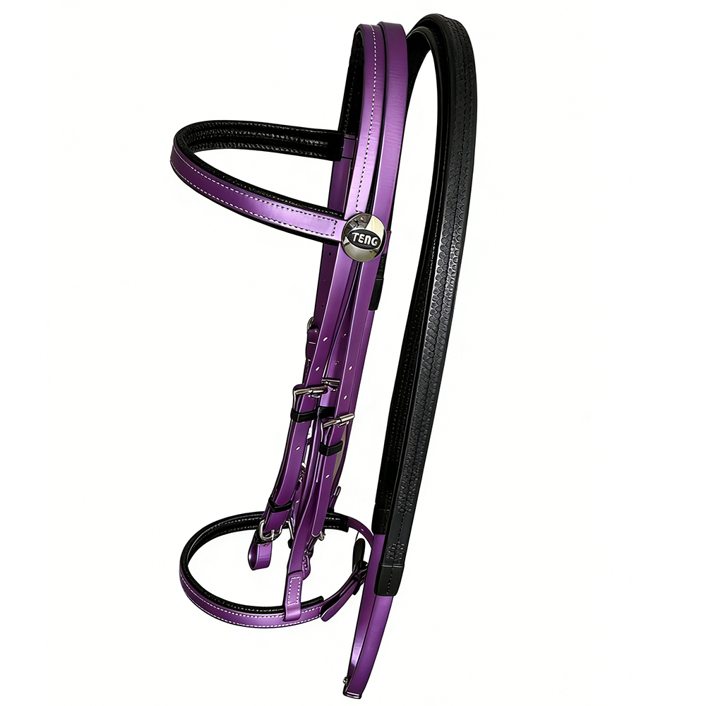 TENG Premium Padded Horse Bridles with Matching Reins Set - Adjustable Equestrian Headstall for Daily Training and Riding - Purple, Blue, Green