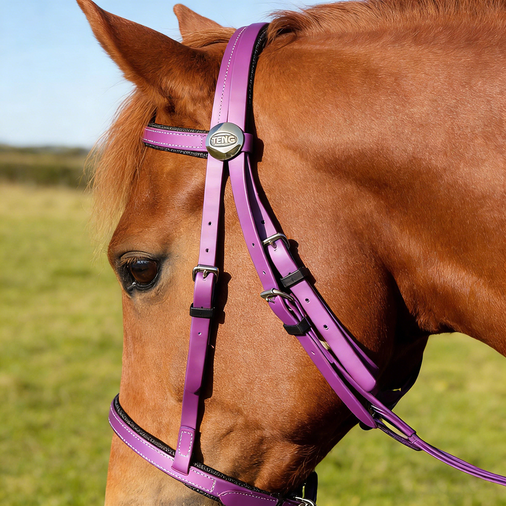 TENG Premium Padded Horse Bridles with Matching Reins Set - Adjustable Equestrian Headstall for Daily Training and Riding - Purple, Blue, Green