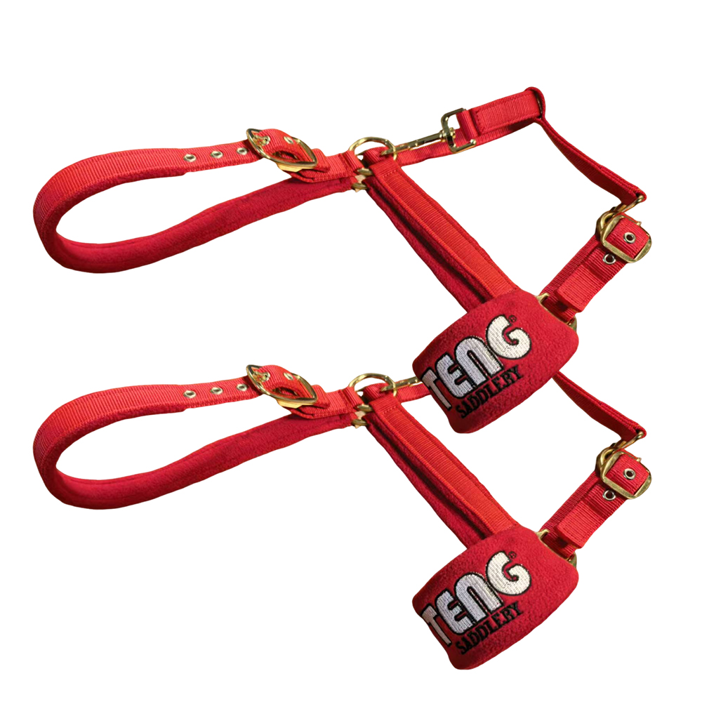 TENG Durable Nylon Horse Halters with Brass Hardware - Adjustable Safety Halter for Daily Turnout and Leading, Padded Noseband and Crown, Red and Blue Available
