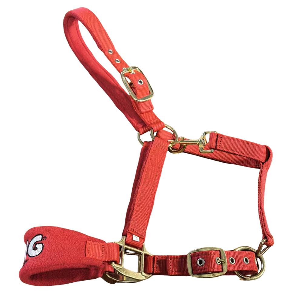 TENG Durable Nylon Horse Halters with Brass Hardware - Adjustable Safety Halter for Daily Turnout and Leading, Padded Noseband and Crown, Red and Blue Available