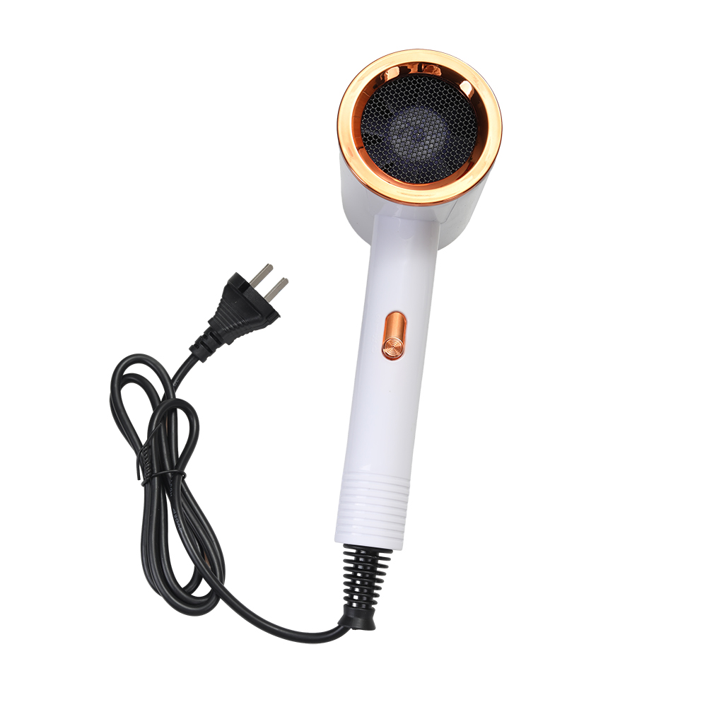 Ostrich Electric Hair Dryers,20000 RPM Ionic Blow Dryer with Concentrator , 3 temperature (COOL/ WARM/ HOT) and 2-speed (LOW/ HIGH) Hair Dryers for Salon, Home and Travel. ﻿