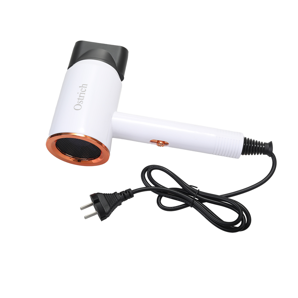 Ostrich Electric Hair Dryers,20000 RPM Ionic Blow Dryer with Concentrator , 3 temperature (COOL/ WARM/ HOT) and 2-speed (LOW/ HIGH) Hair Dryers for Salon, Home and Travel. ﻿