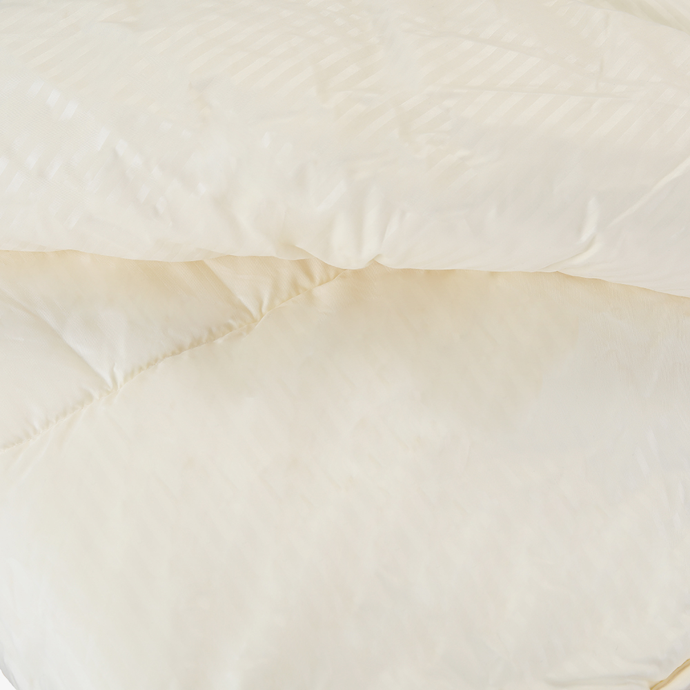 HappyLily Quilt autumn and winter quilt bedroom thickening warm quilt core autumn and winter quilt.